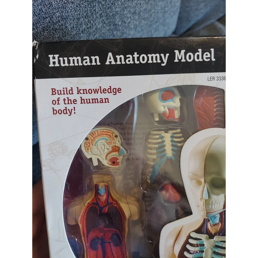Human Body Learning Resources Educational Anatomy 31-Piece Model Set and‎ Stand